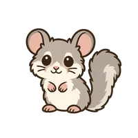 Illustration of a African Pygmy Dormouse