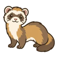 Illustration of a Ferret