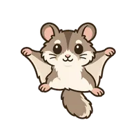 Illustration of a Flying Squirrel