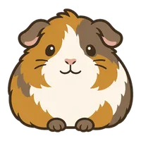 Illustration of a Guinea Pig